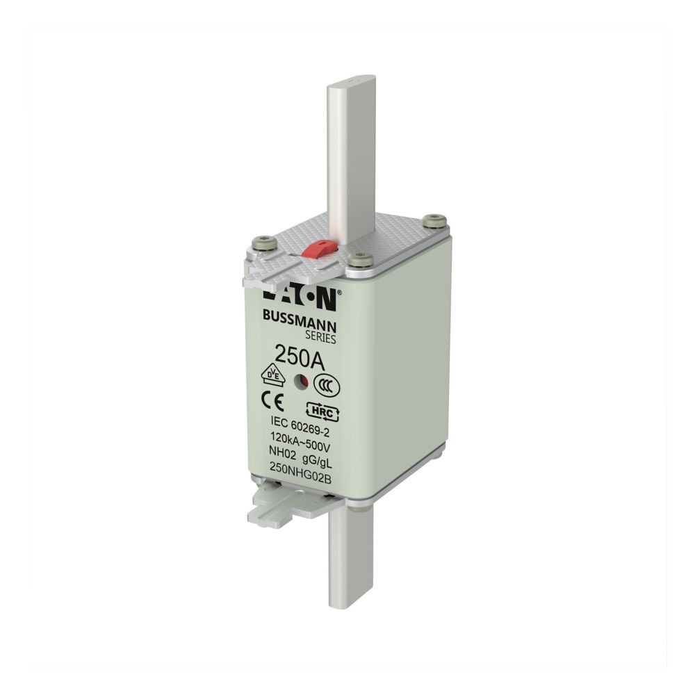 
                                                            NH02 fuse 250A | 20037