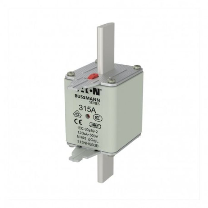 
                                                            NH02 fuse 315A | 20038