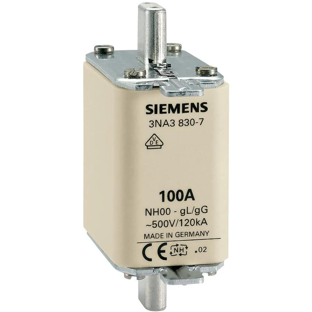 
                                                            NH00 fuse 100A | 20041
