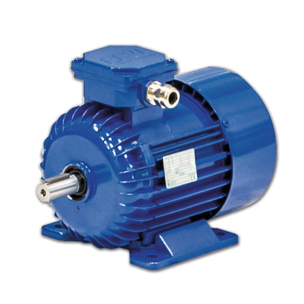 SKH 71-4B Cantoni Motor