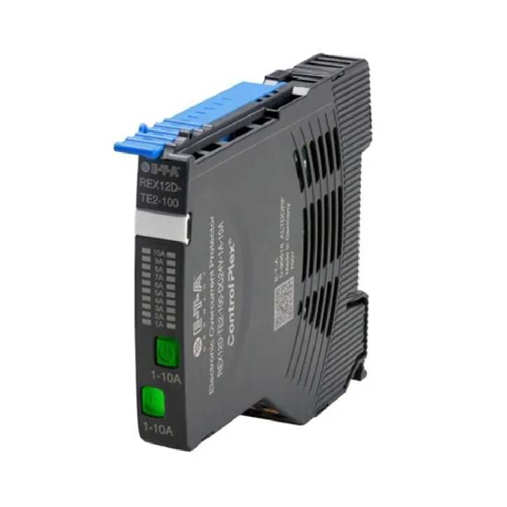REX12D-TE2-100-DC24V-1A-10A ETA
