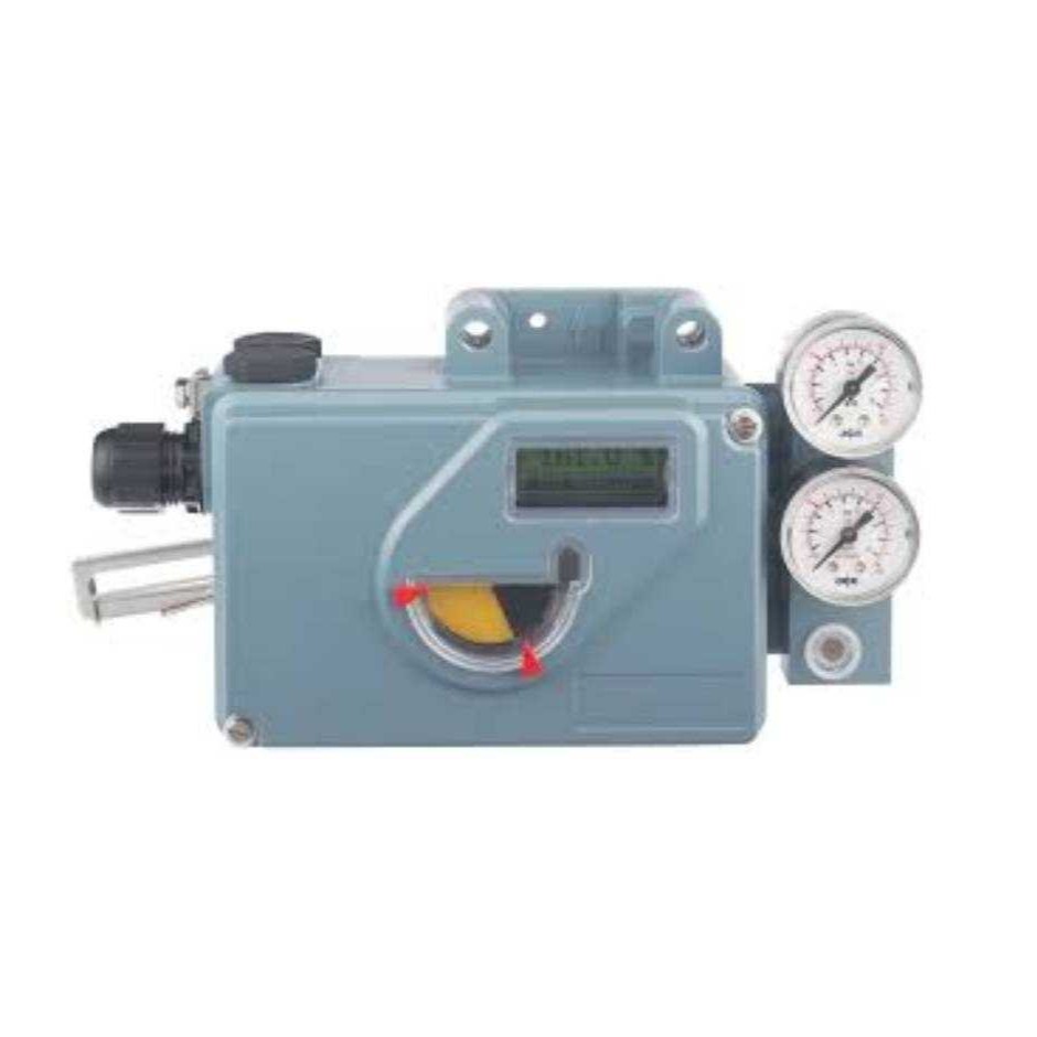 SRD991-BPNS7EAANY-V01