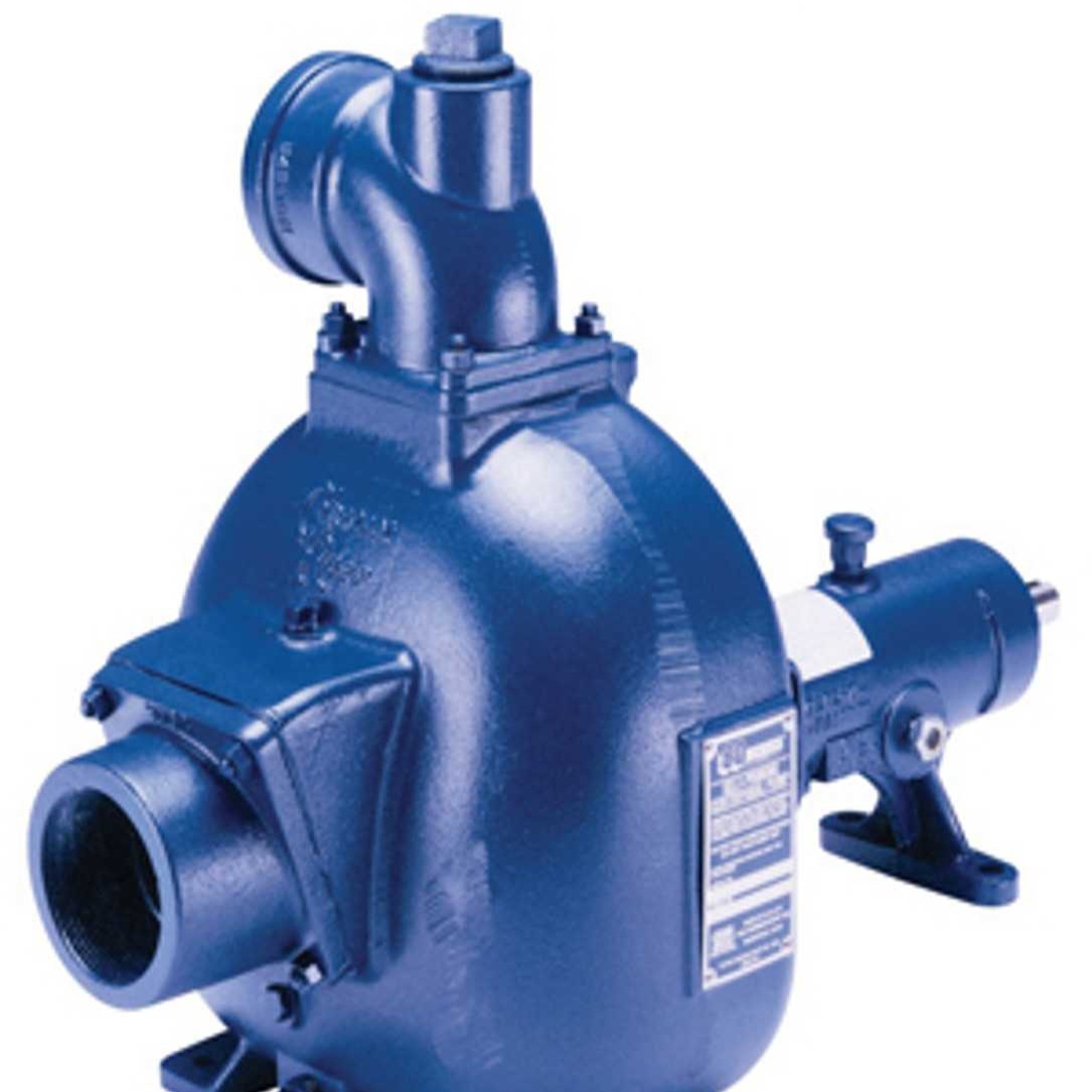 2521B 10010 Gorman Rupp