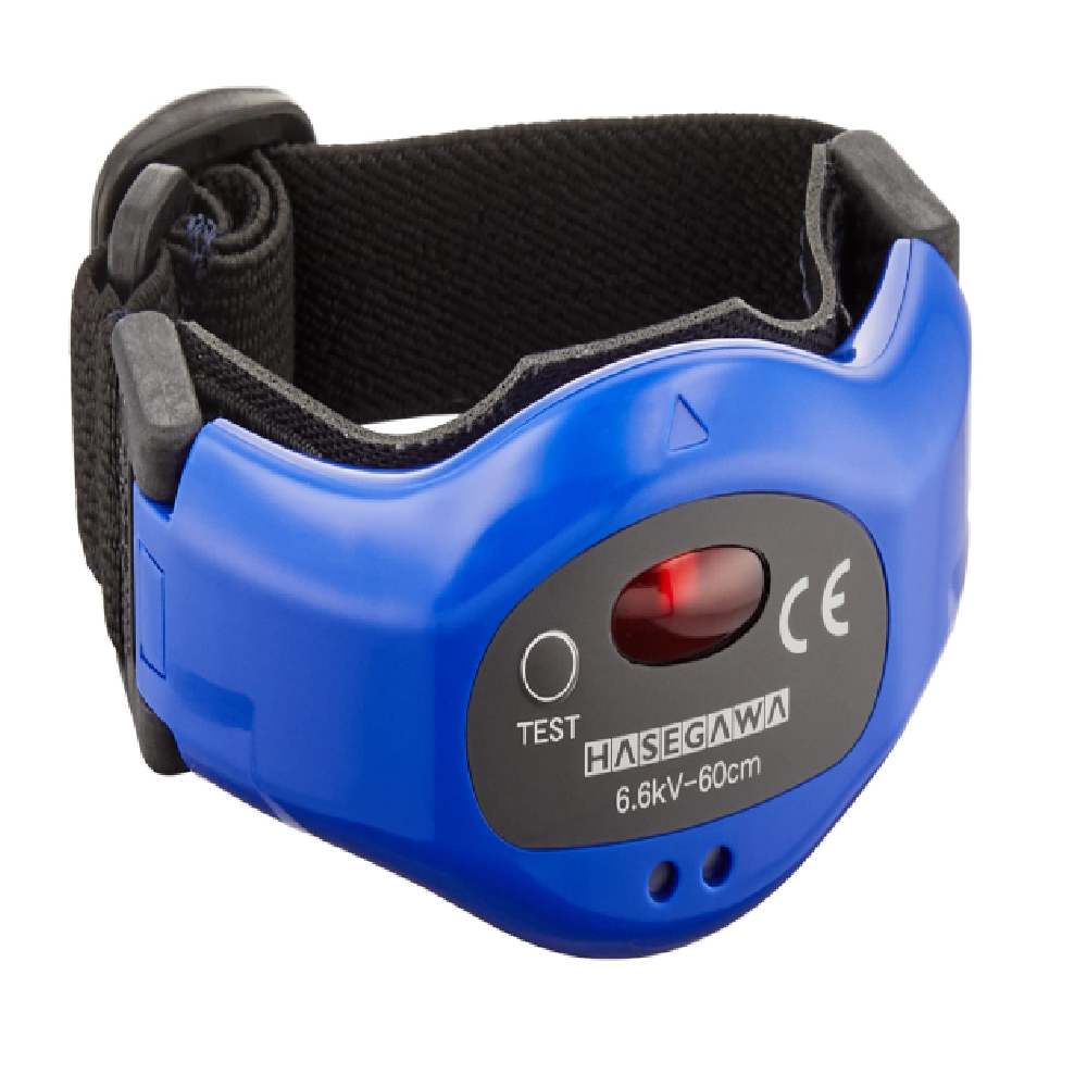 HXW-6W Hasegawa Electric