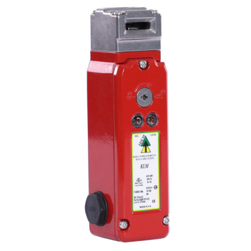 202401A IDEM Safety Switches